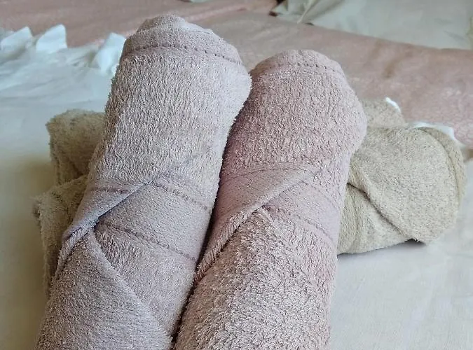安妮什梅耶迪基旅馆 *